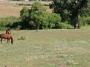 02 E Cherry Creek Road