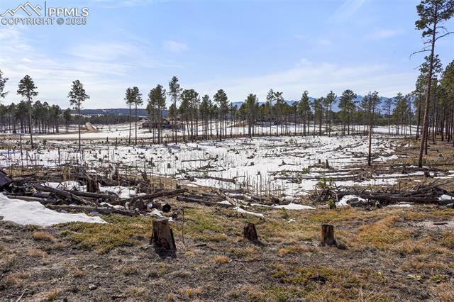 00 Wyandott Drive
