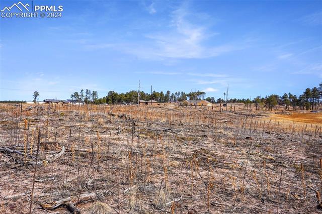 Lot 3 Forest Heights Circle