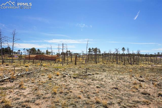 Lot 3 Forest Heights Circle