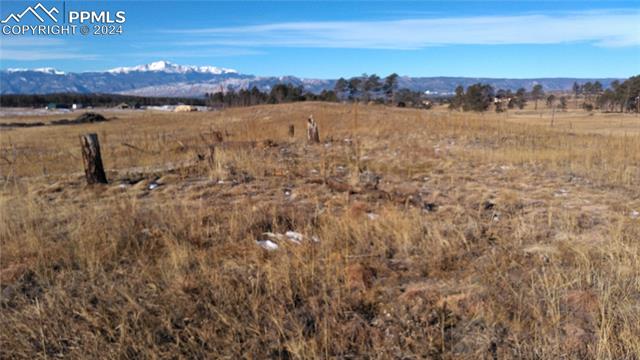 Lot 3 Forest Heights Circle