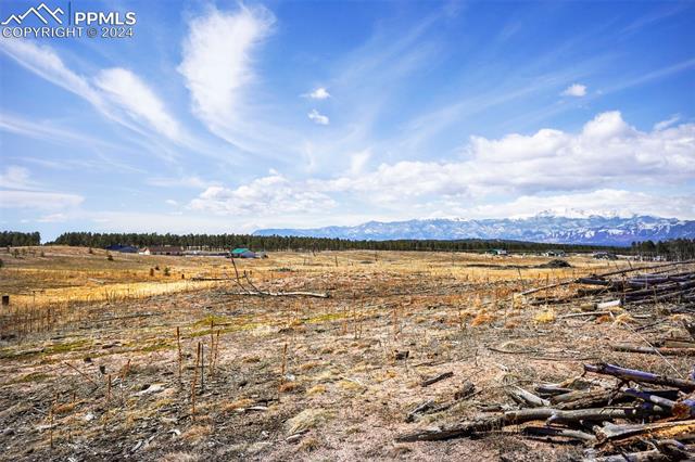 Lot 3 Forest Heights Circle