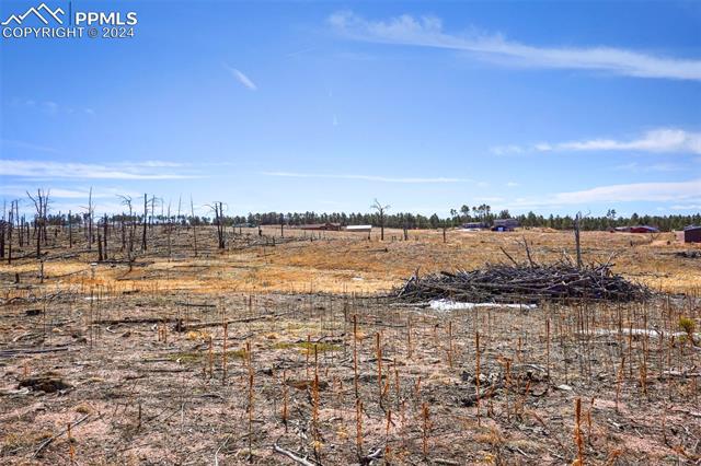 Lot 3 Forest Heights Circle