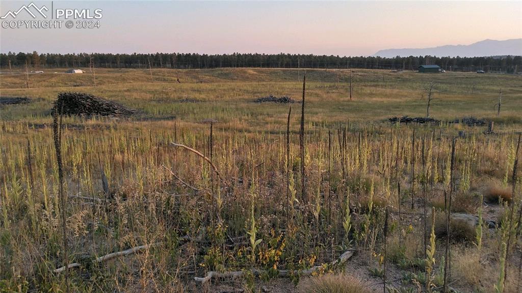 Lot 3 Forest Heights Circle