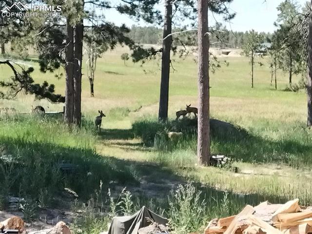 Lot 3 Forest Heights Circle