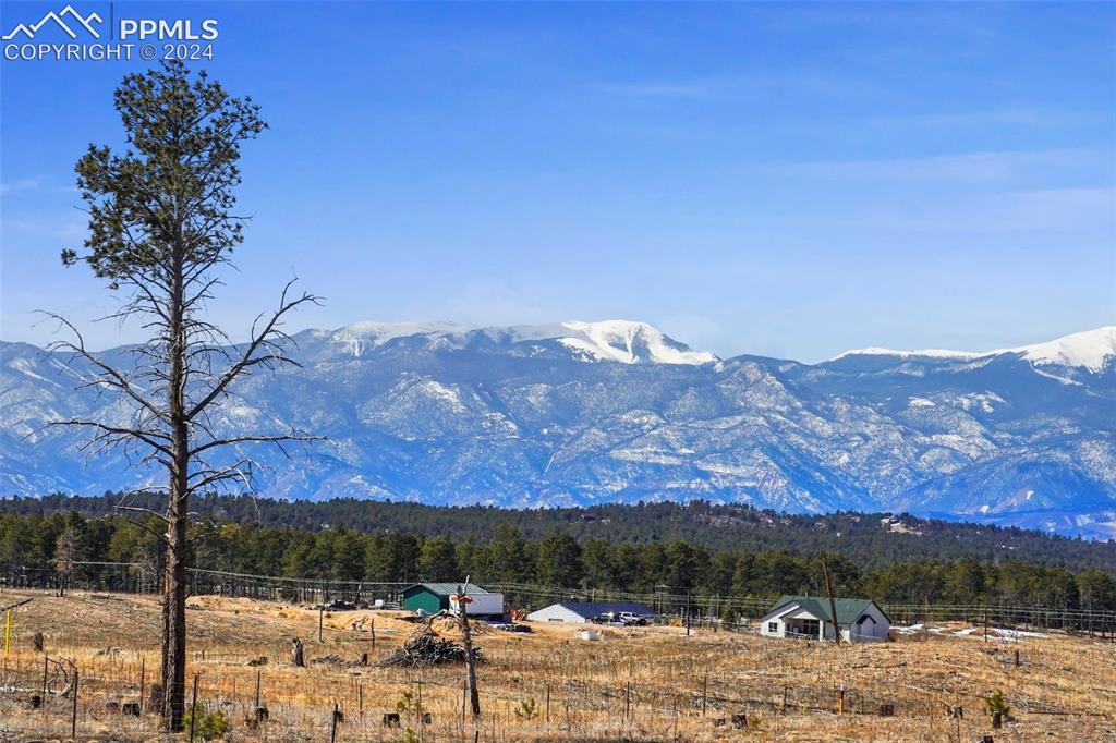 Lot 3 Forest Heights Circle