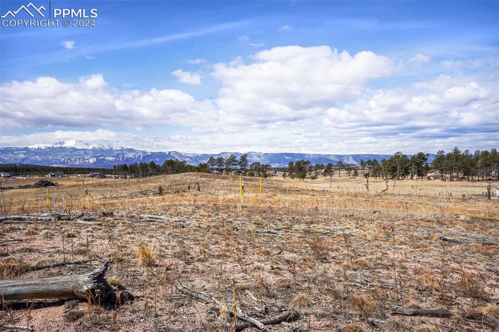 Lot 3 Forest Heights Circle