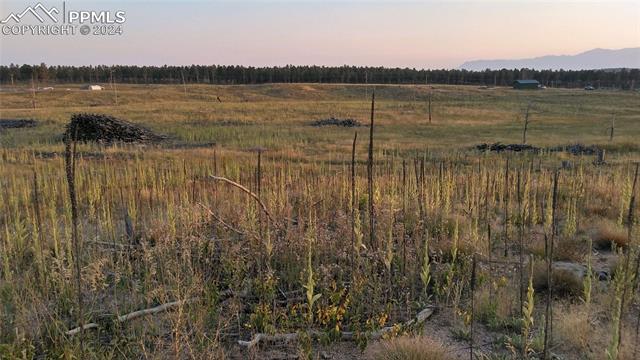Lot 3 Forest Heights Circle
