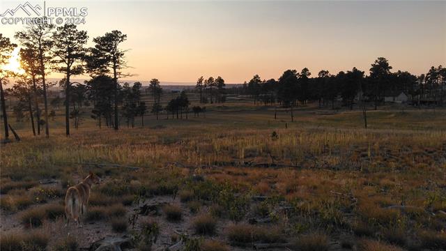 Lot 3 Forest Heights Circle