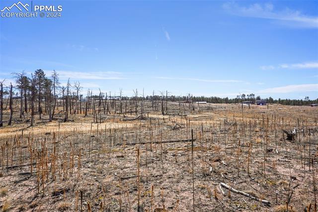 Lot 3 Forest Heights Circle