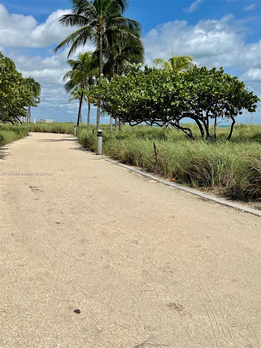 10185 Collins Ave # 902