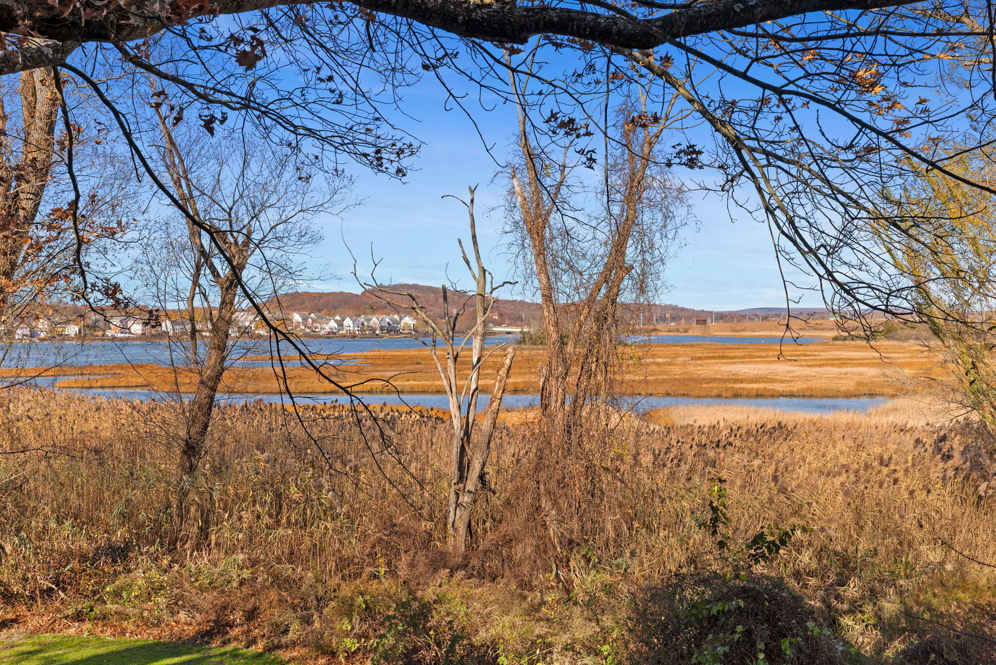 926 Quinnipiac Avenue APT 8