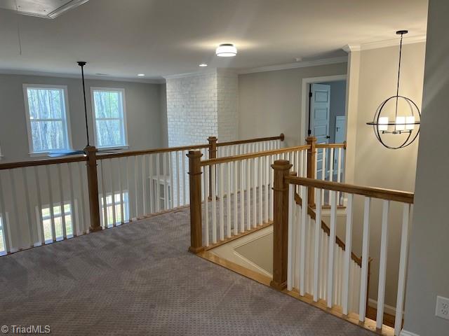 842 Montrachet Court