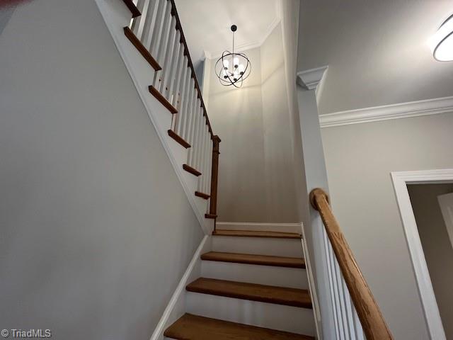 842 Montrachet Court