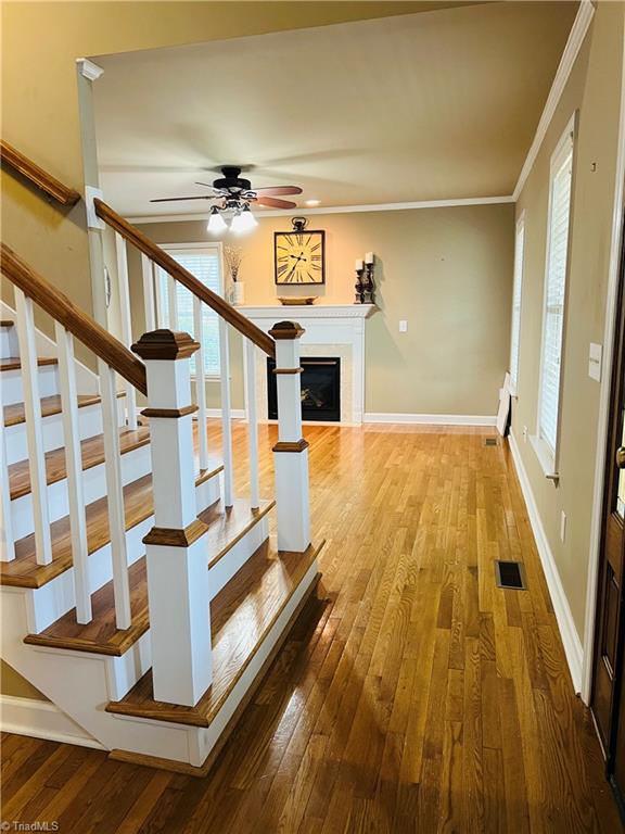 279 Knollcrest Drive