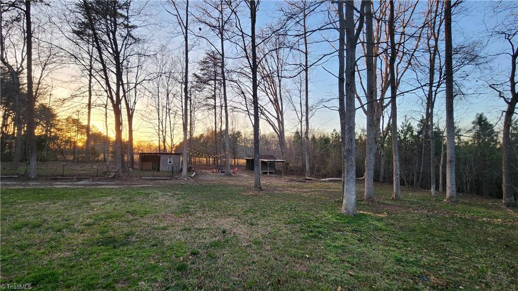 1168 Briaridge Court