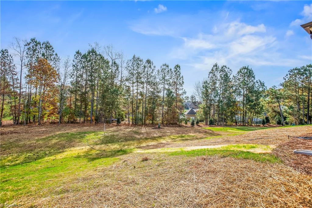 157 Castle Pond Drive, Winston-Salem