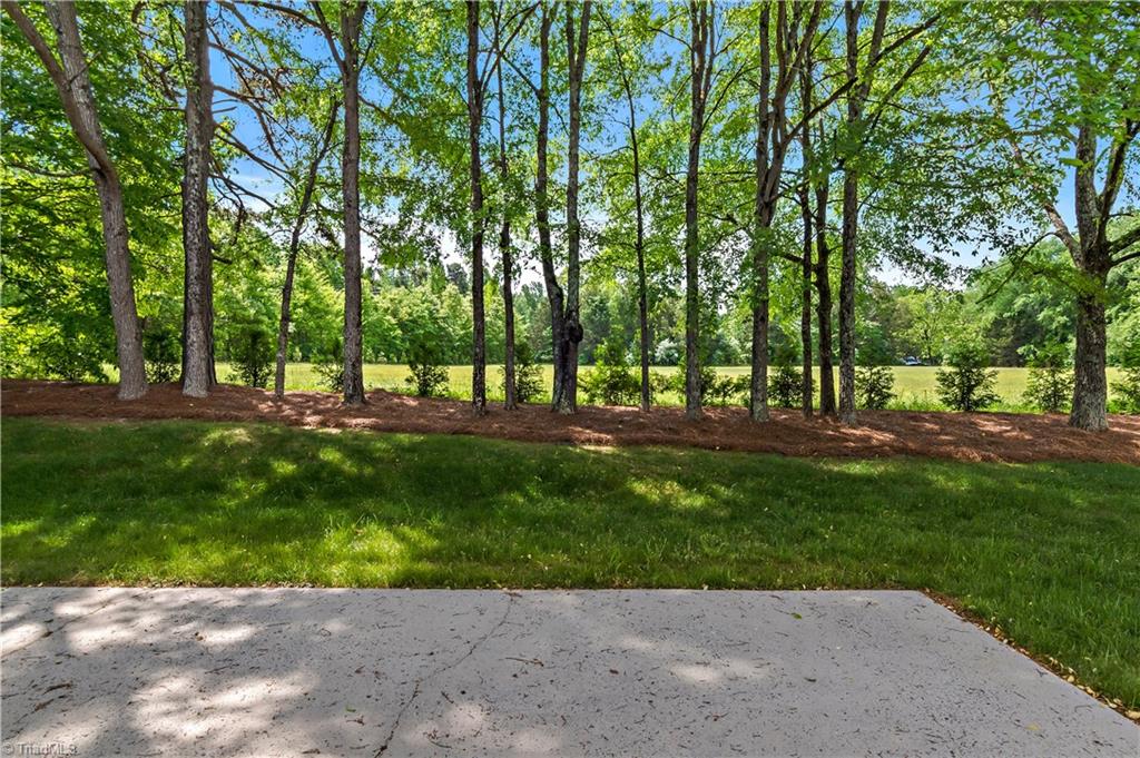 230 Salem Ridge Court