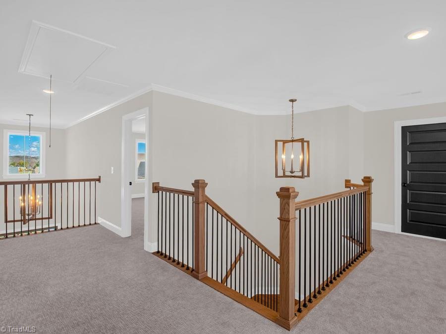 101 Jasper Court