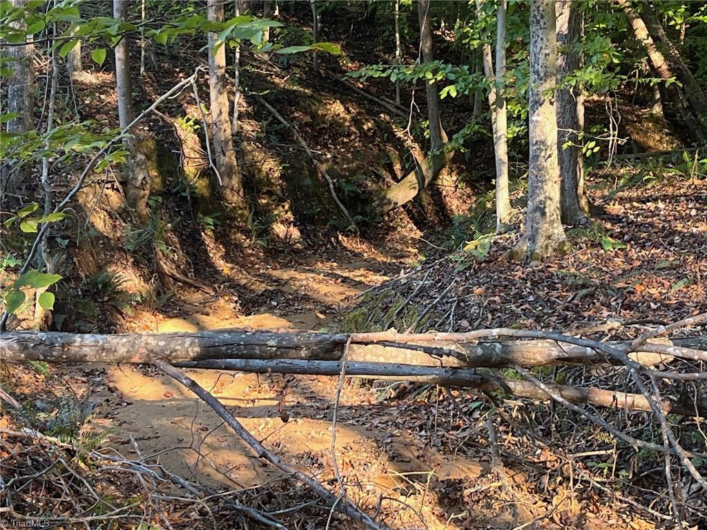 6455 Reubens Ridge Drive, Winston-Salem