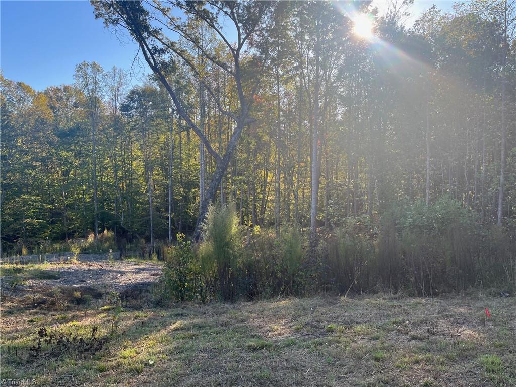 6455 Reubens Ridge Drive, Winston-Salem