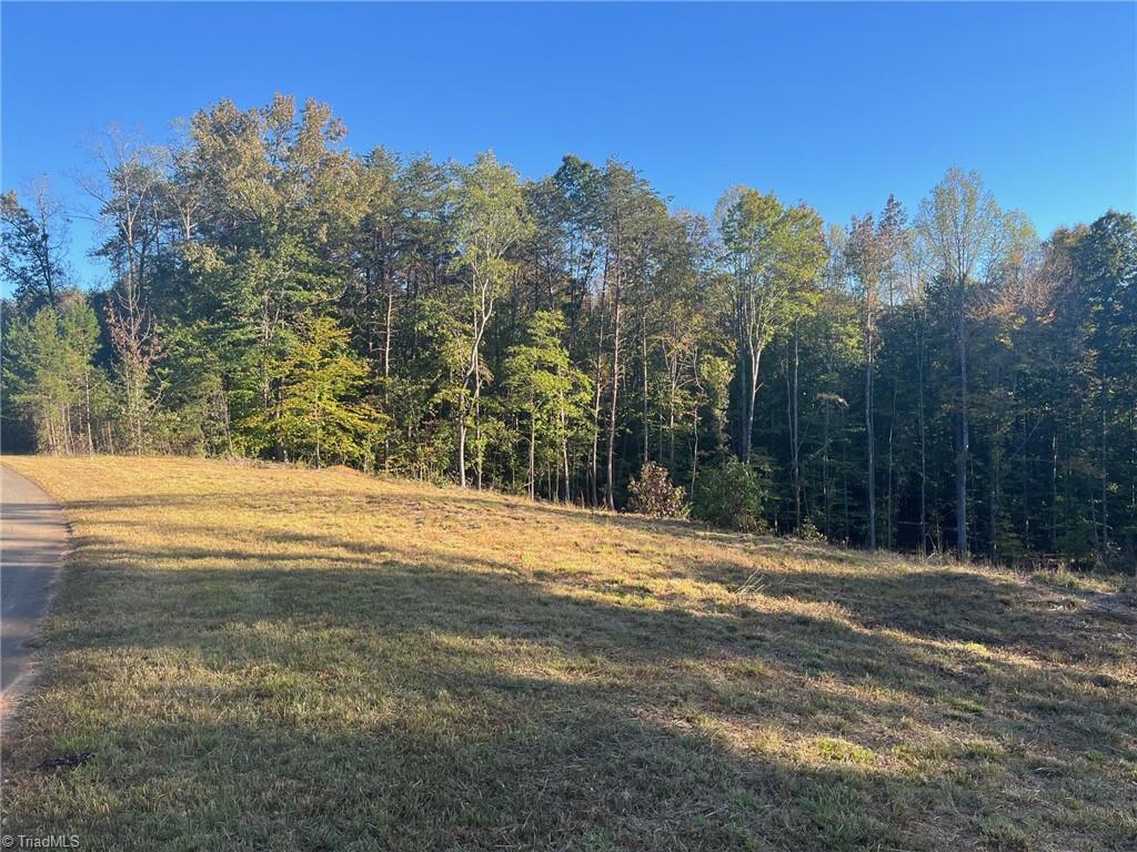 6455 Reubens Ridge Drive, Winston-Salem