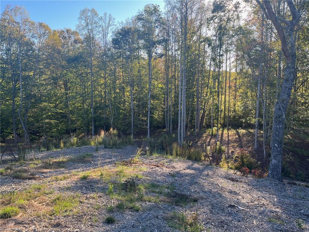 6455 Reubens Ridge Drive, Winston-Salem