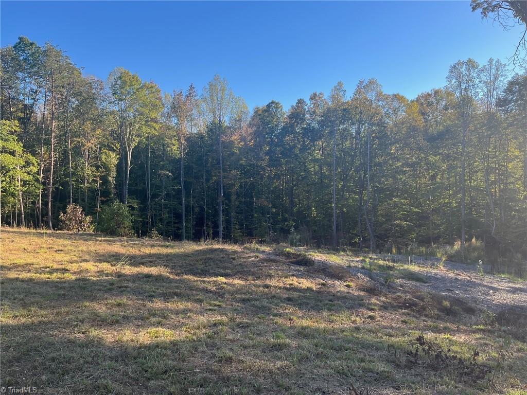 6455 Reubens Ridge Drive, Winston-Salem