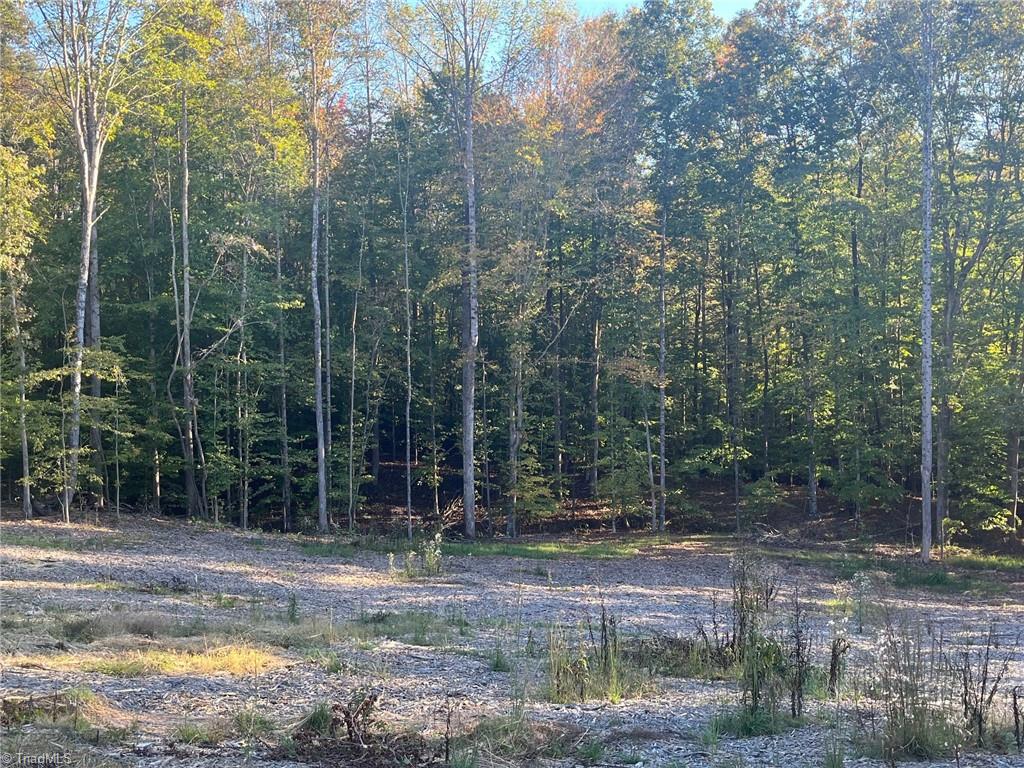 6455 Reubens Ridge Drive, Winston-Salem