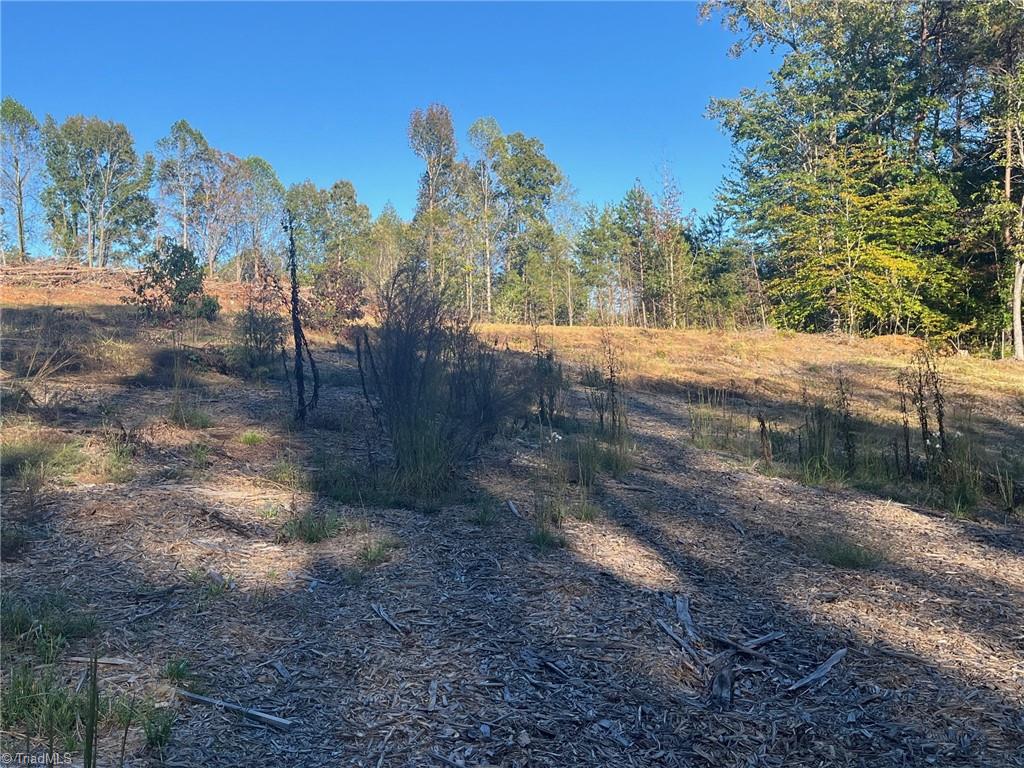 6455 Reubens Ridge Drive, Winston-Salem