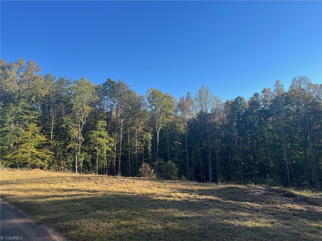 6455 Reubens Ridge Drive, Winston-Salem