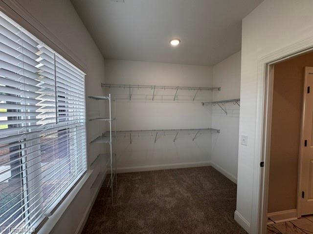 205 Grandworth Way