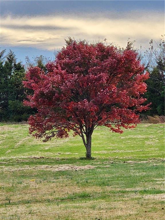 3053 Hallmark Estates Drive