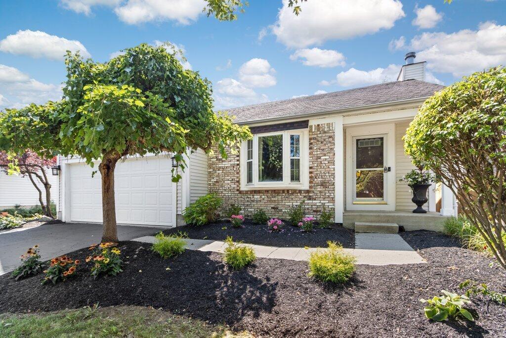 3425 Ridley Drive