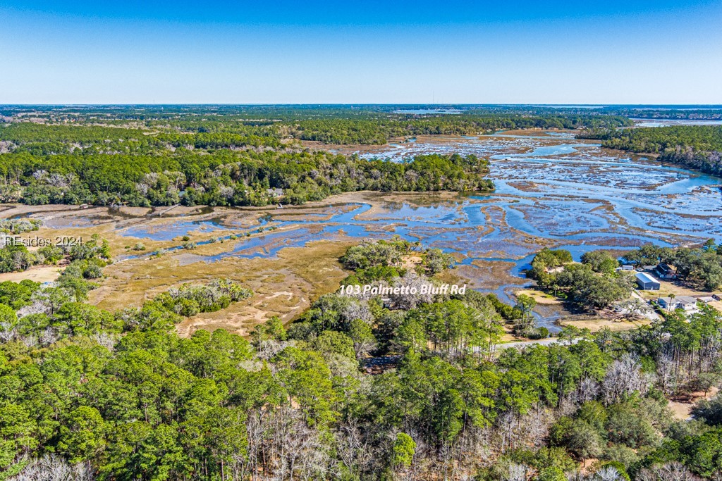 103 Palmetto Bluff Road