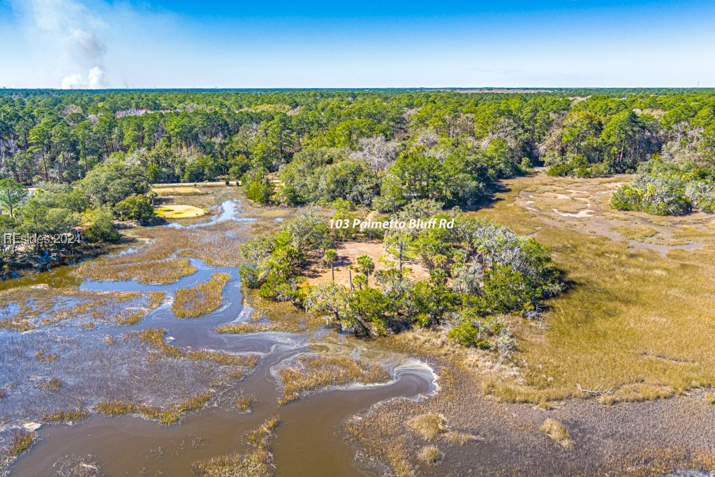 103 Palmetto Bluff Road