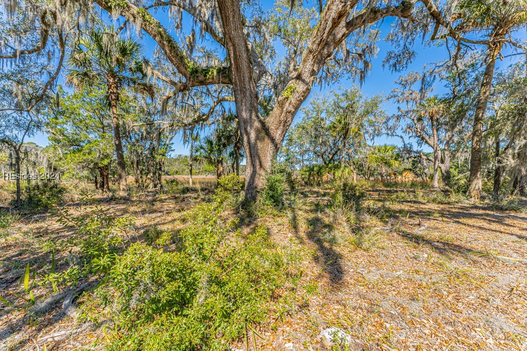 103 Palmetto Bluff Road