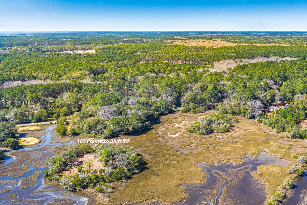 103 Palmetto Bluff Road