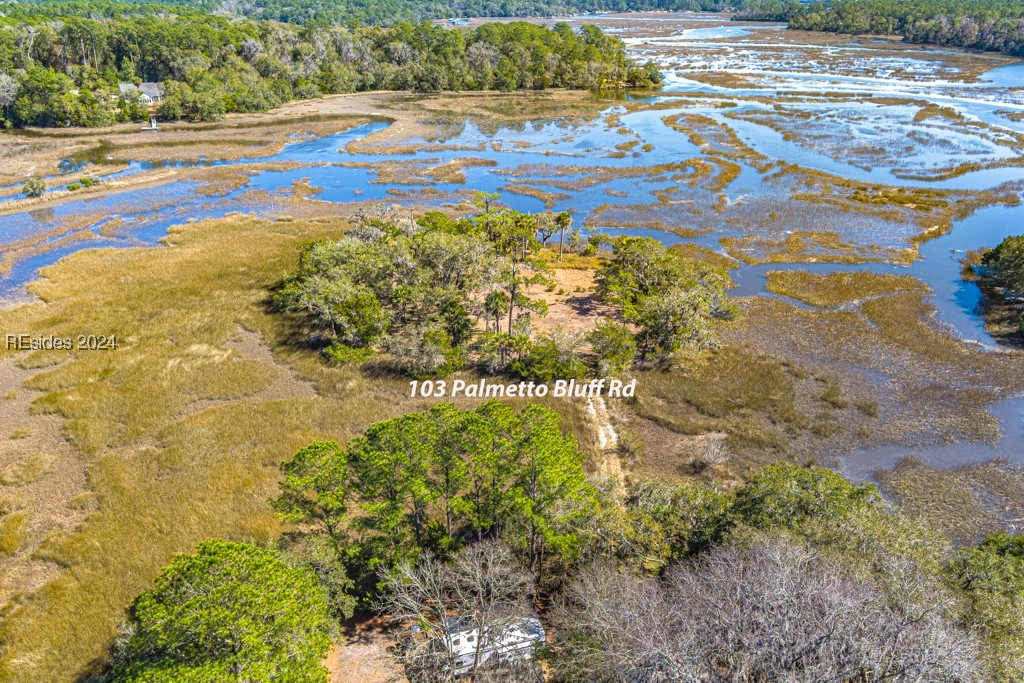 103 Palmetto Bluff Road