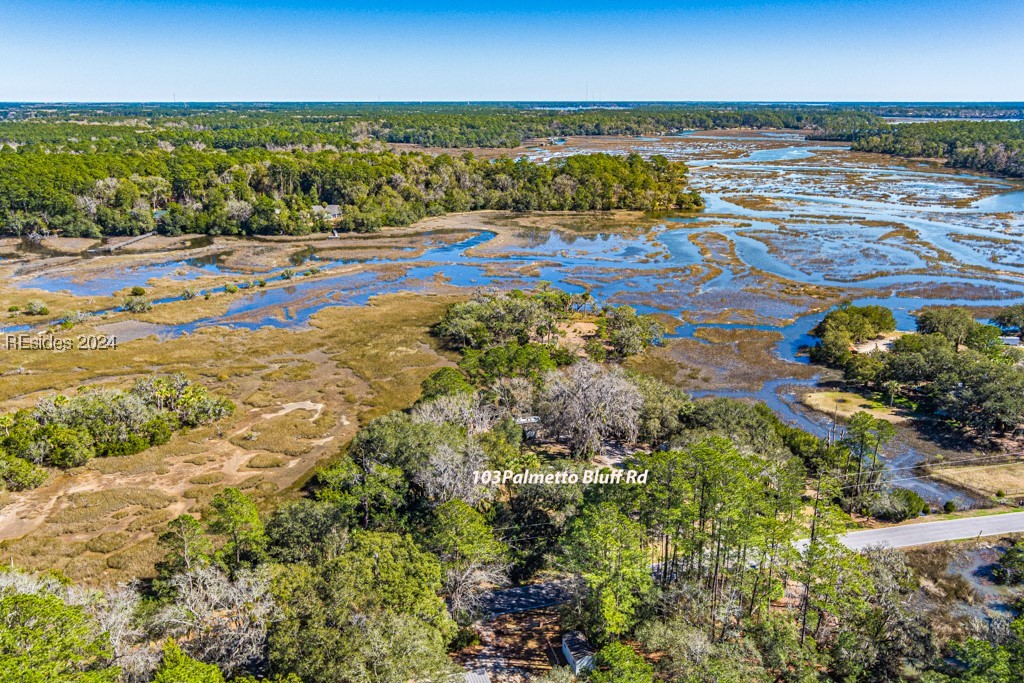 103 Palmetto Bluff Road