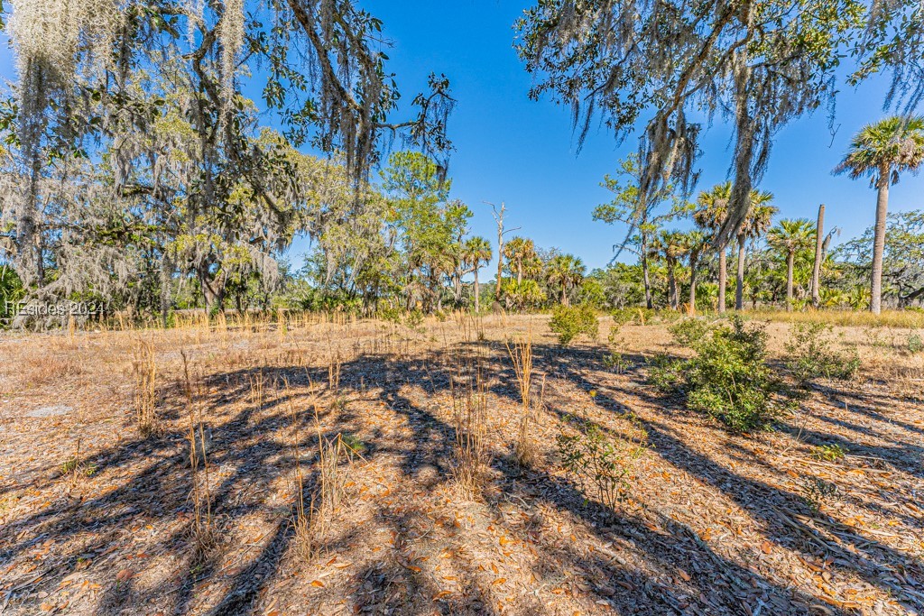 103 Palmetto Bluff Road
