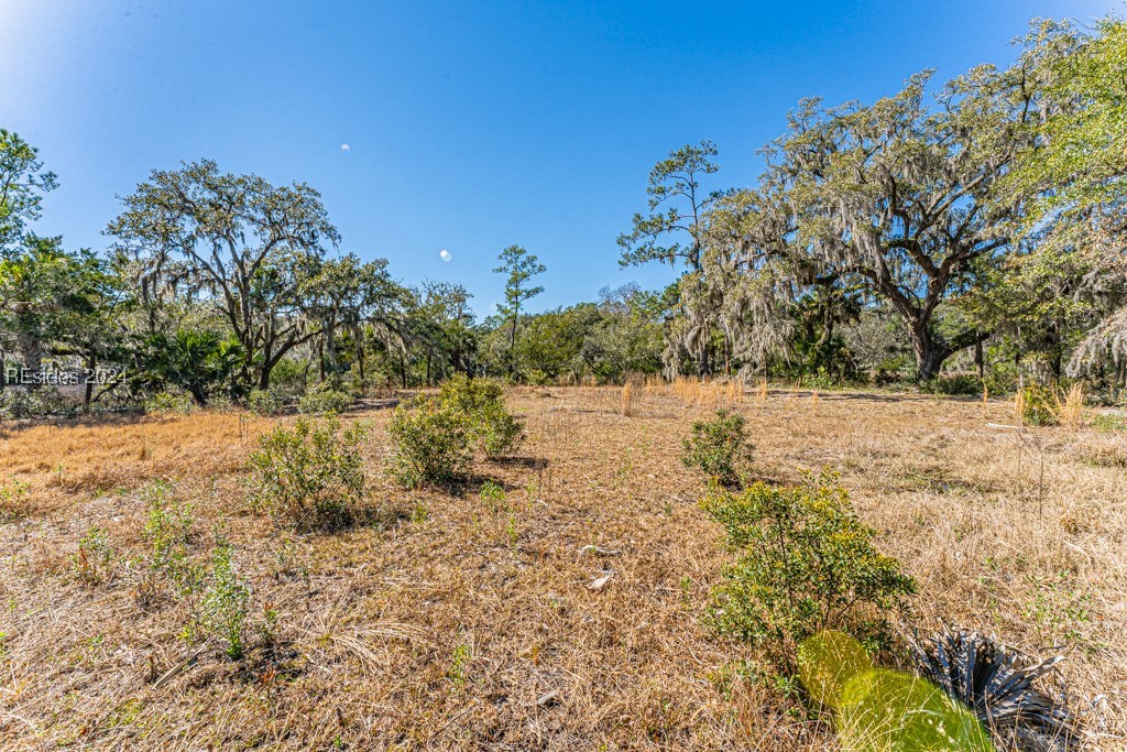 103 Palmetto Bluff Road