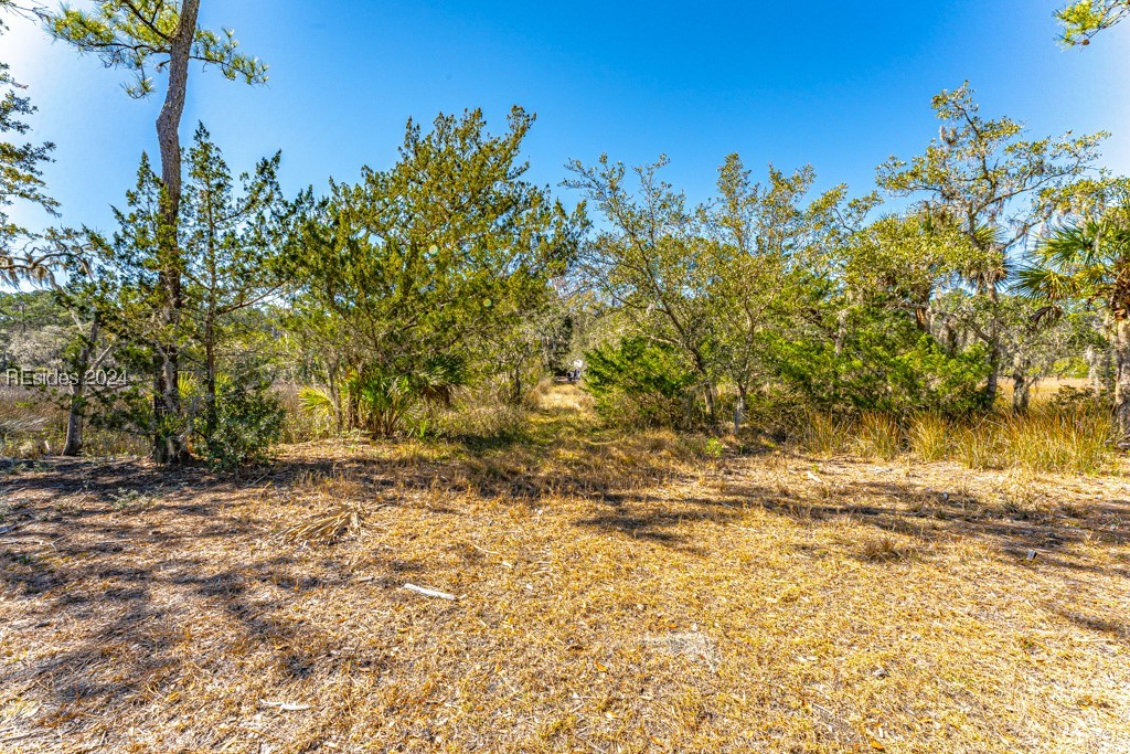 103 Palmetto Bluff Road