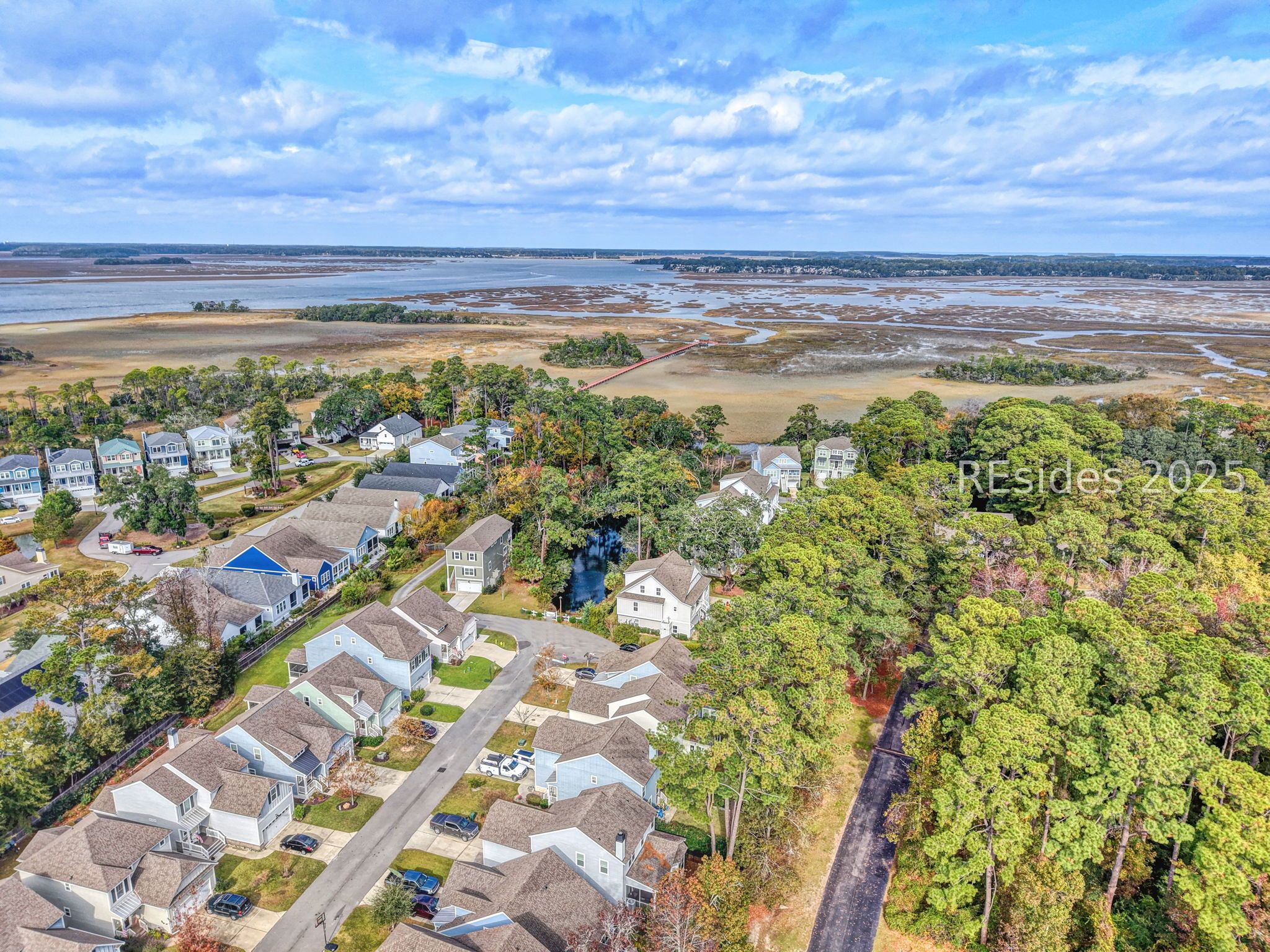35 Tansyleaf Drive