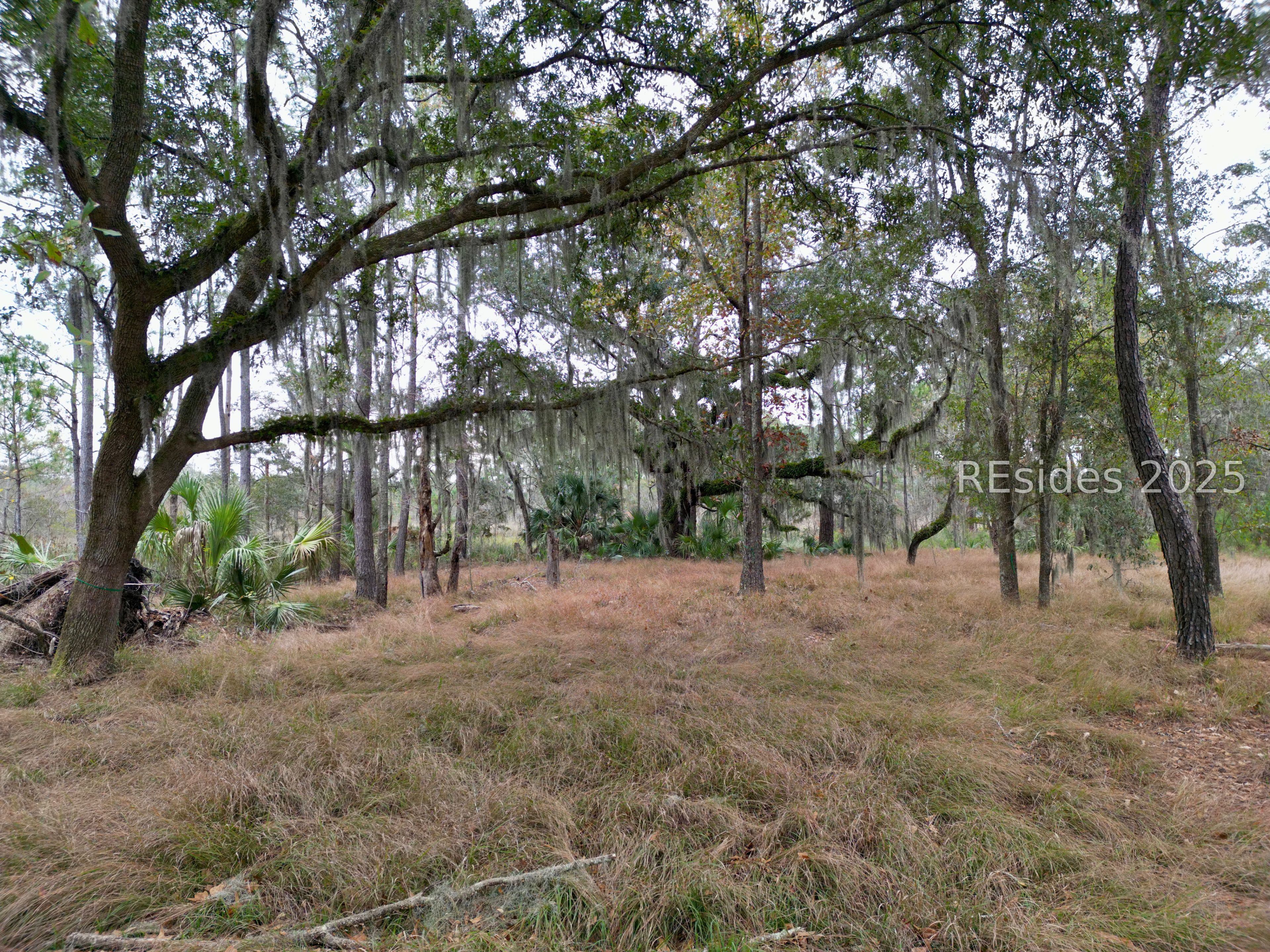 219 Hunters Loop