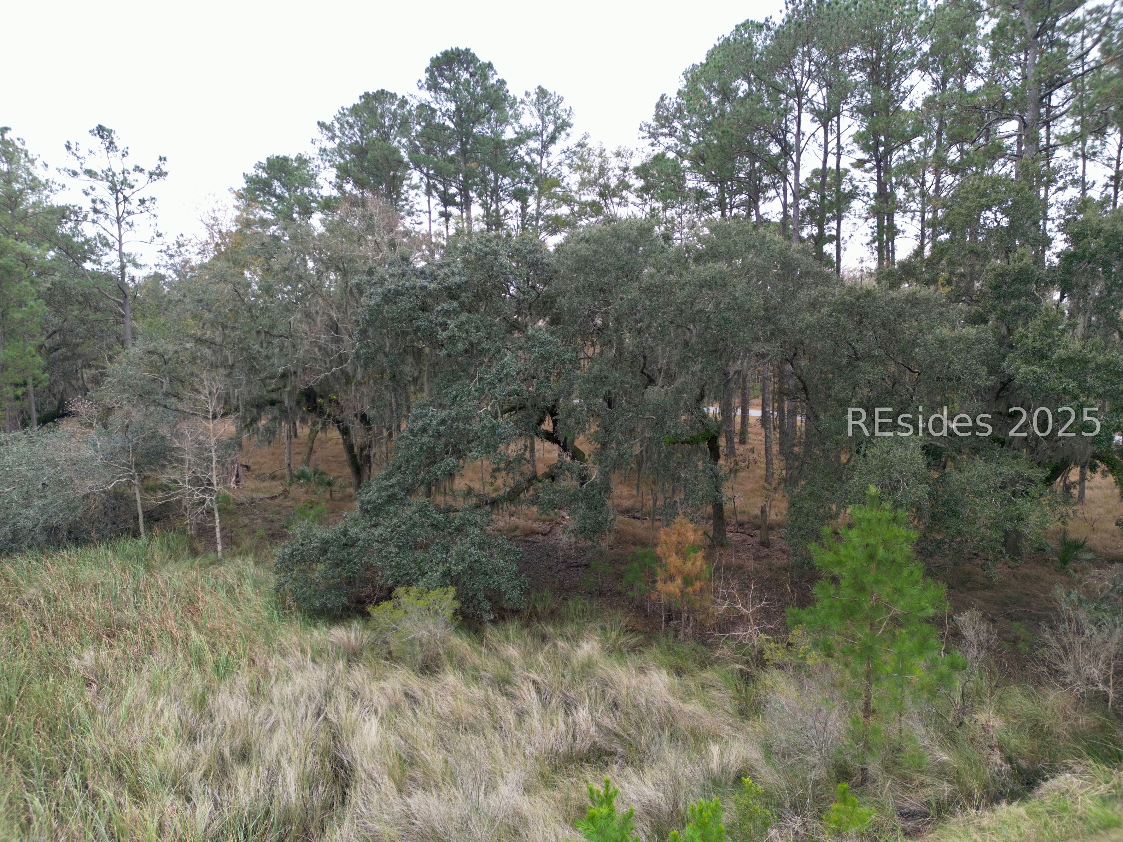 219 Hunters Loop