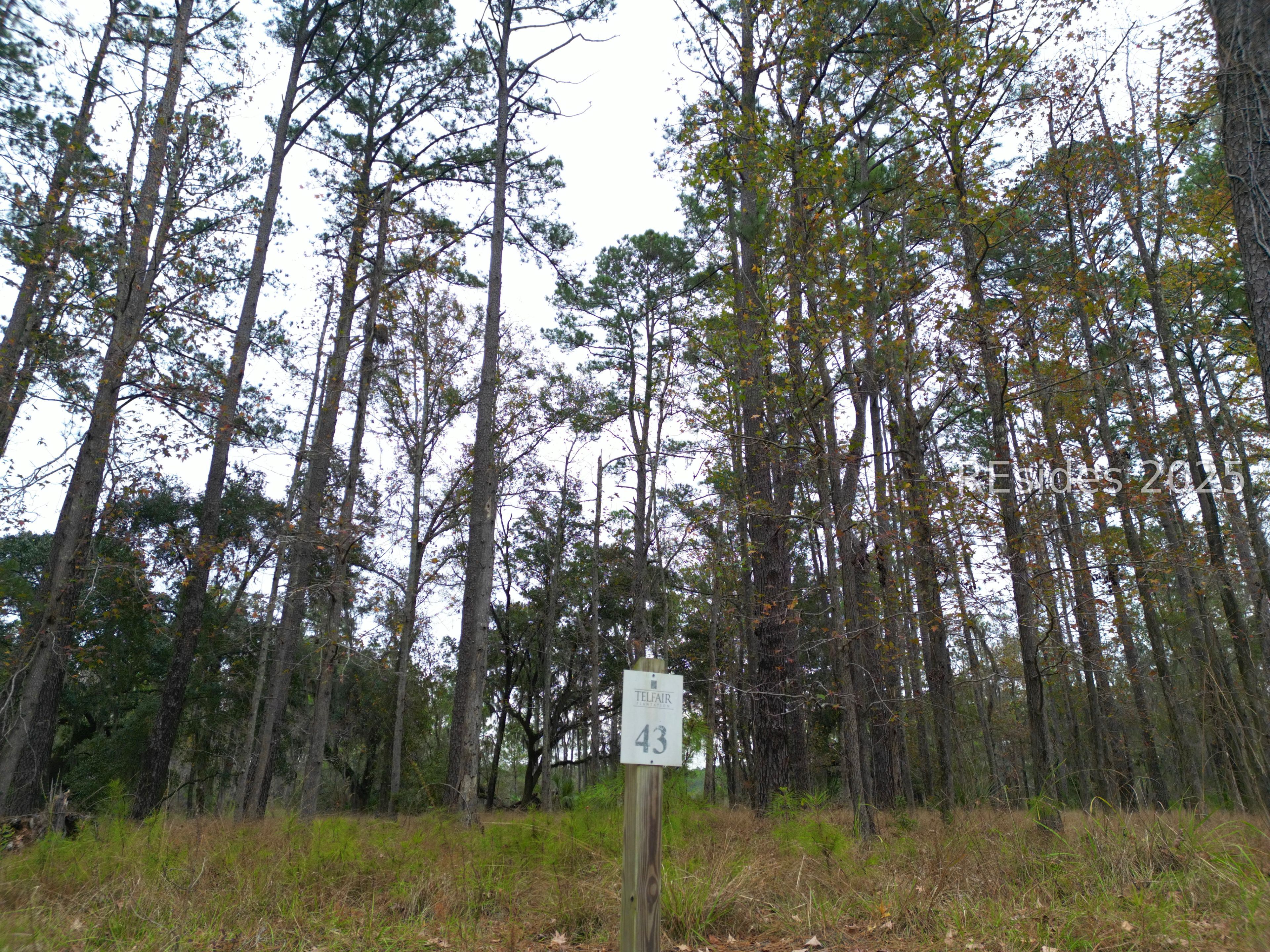 219 Hunters Loop