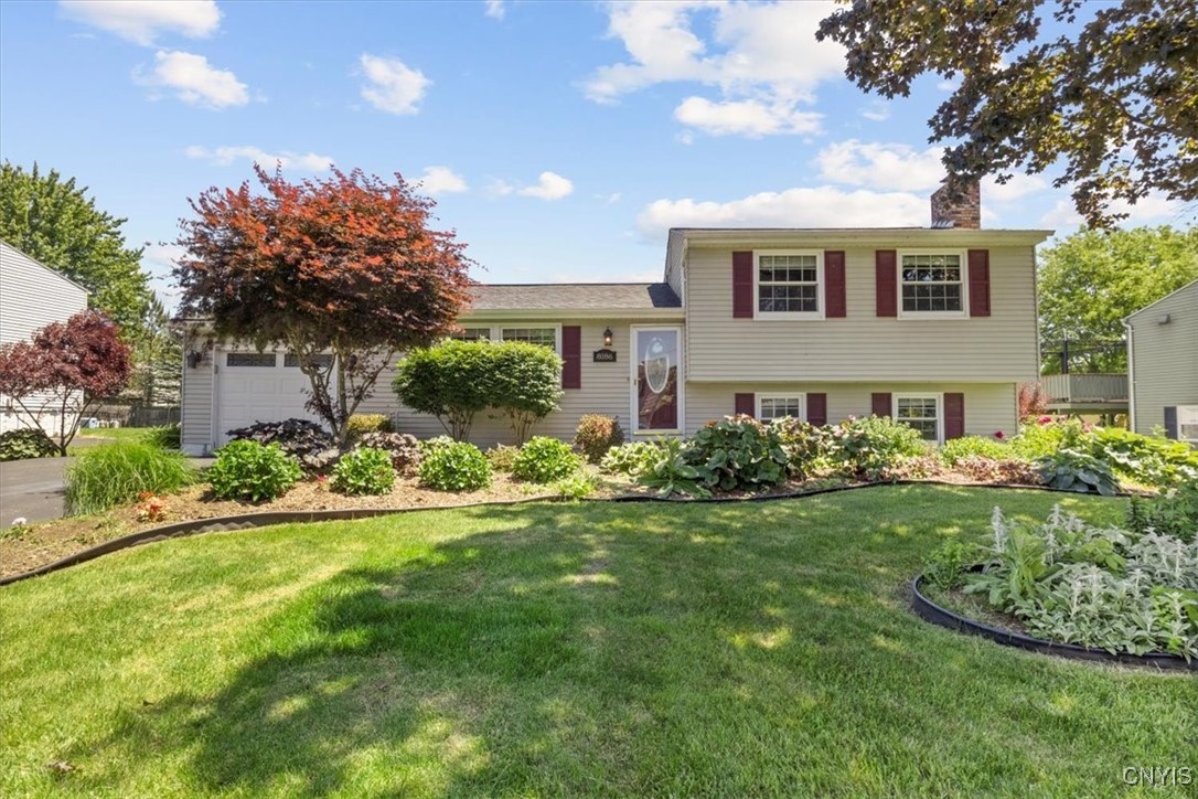 8186 Mantova Drive