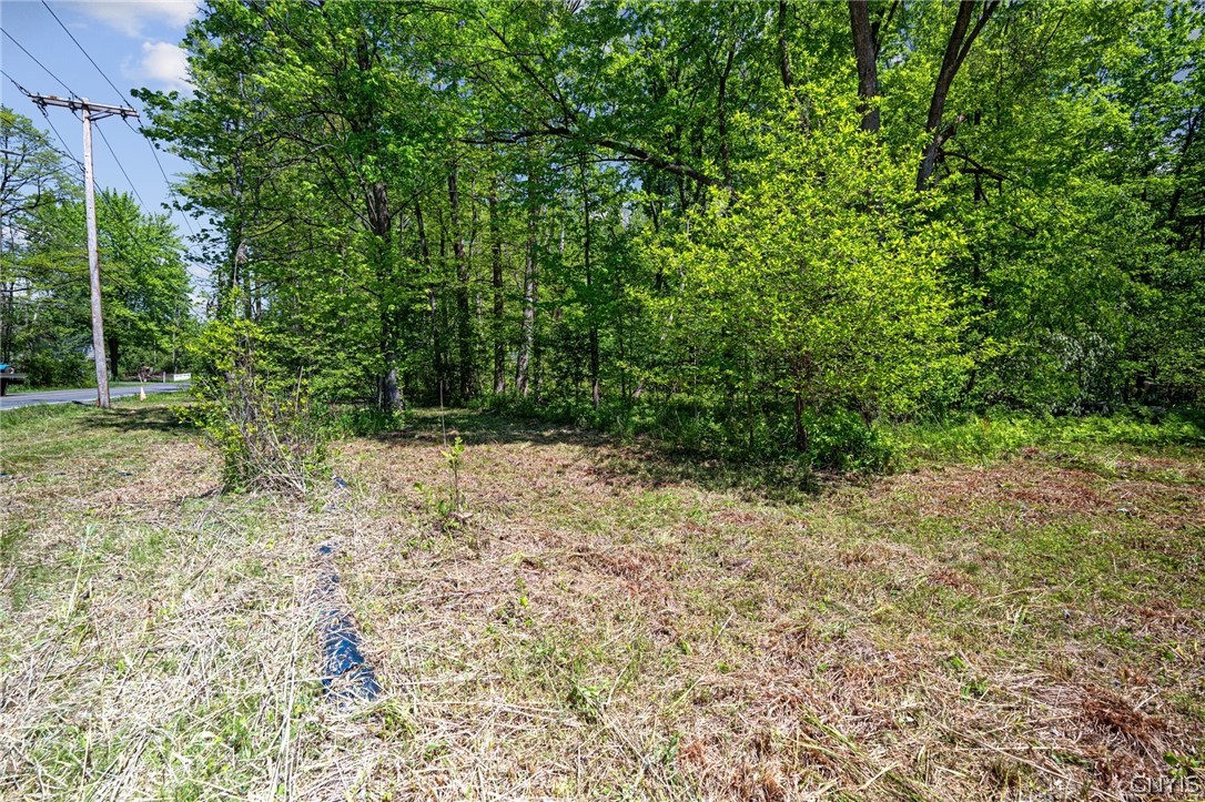 6859 Kirkville Road