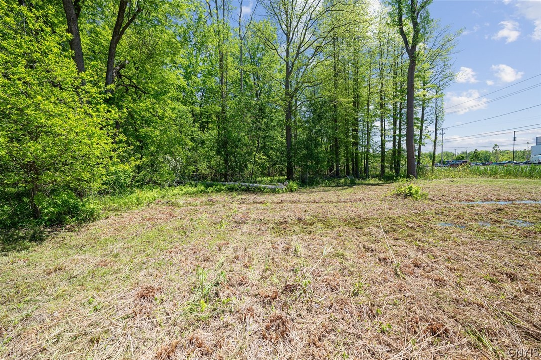 6859 Kirkville Road